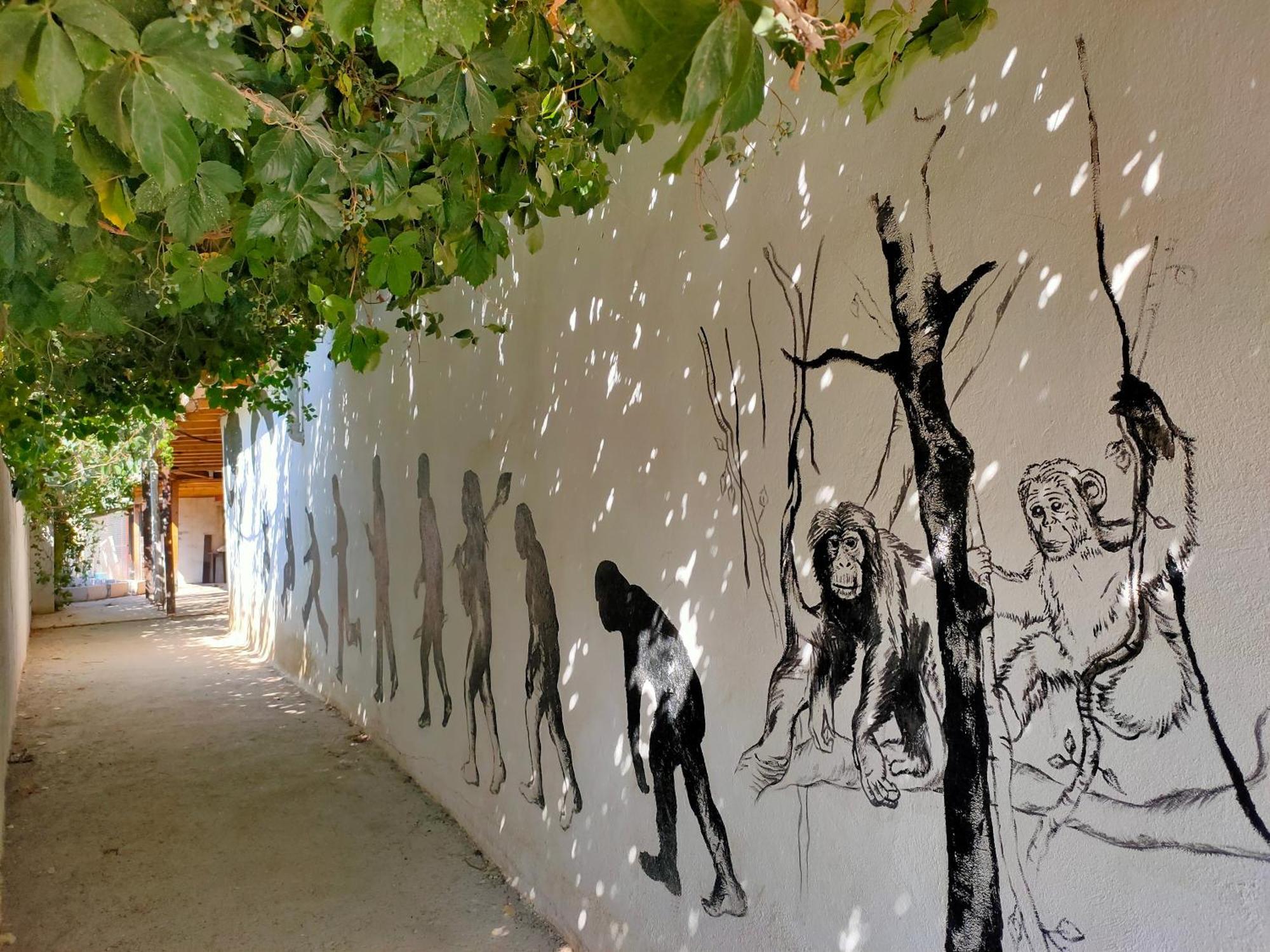 Oludeniz Hostel ภายนอก รูปภาพ